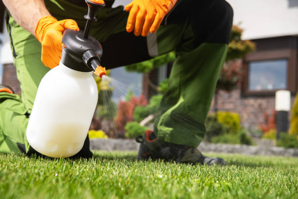 Professional Pest Control in Pines Lake, NJ