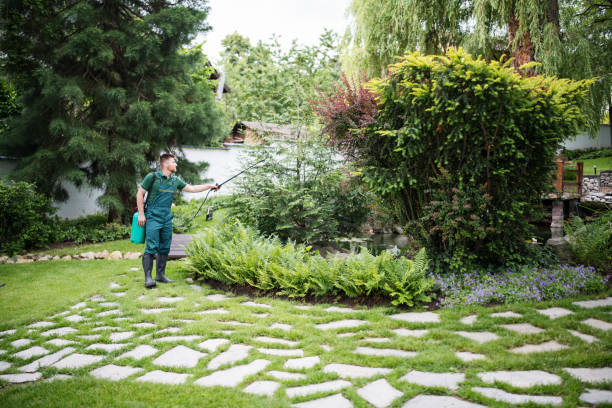 Best Best Pest Control Companies  in Pines Lake, NJ
