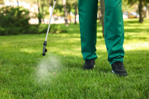 Best Rat Extermination Near Me  in Pines Lake, NJ