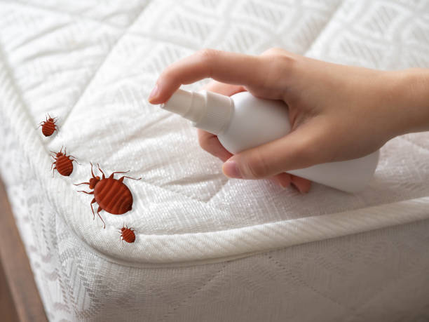 Best Pest Removal Services  in Pines Lake, NJ
