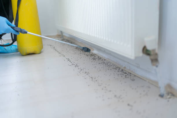 Best Commercial Pest Control Services  in Pines Lake, NJ