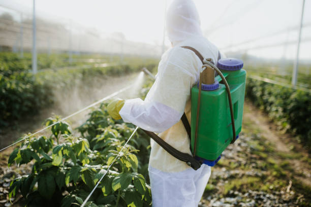 Best Affordable Pest Control Services  in Pines Lake, NJ